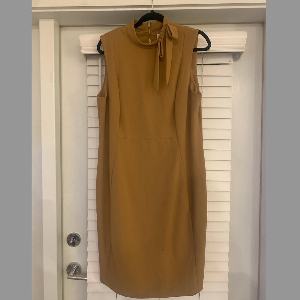 Calvin Klein Professional Dress